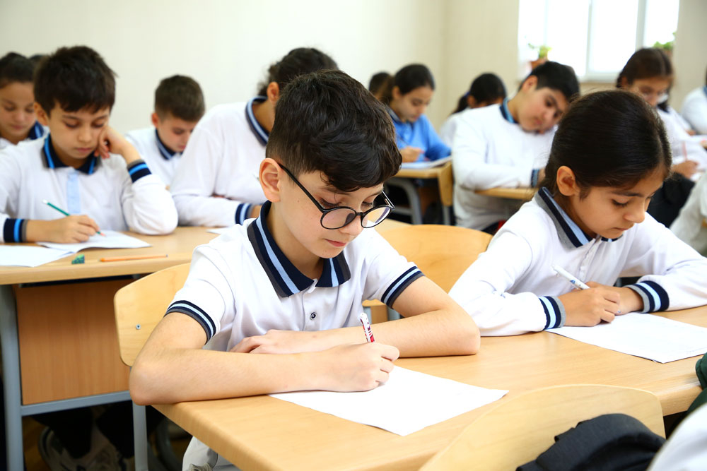 Müasir mədəniyyət modeli və təhsildə təhsil mədəniyyətinin formalaşdırılması